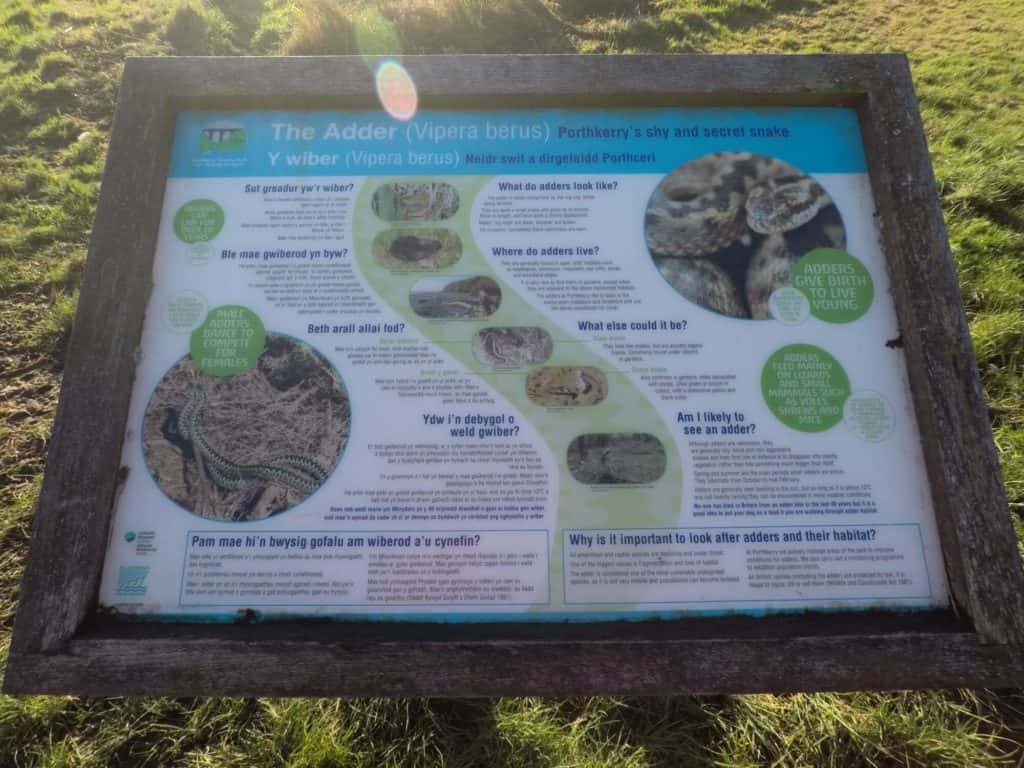 wildlife information board
