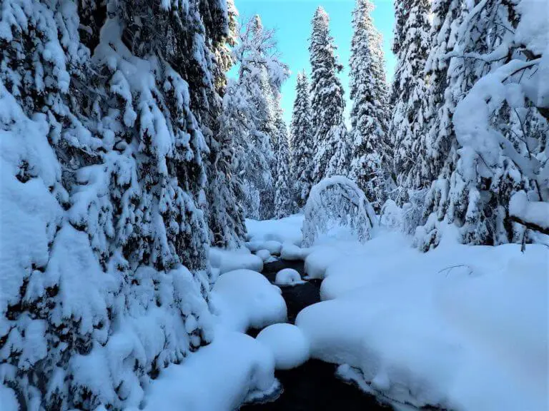 Njupeskär Waterfall Walk in Winter • Roaming Spices