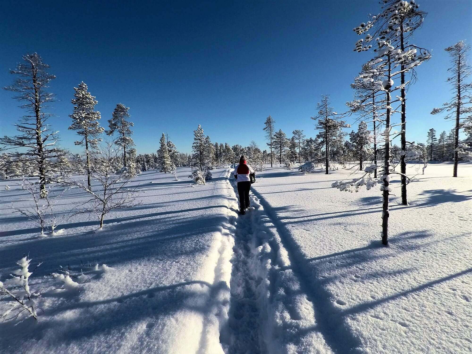 Njupeskär Waterfall Walk in Winter • Roaming Spices