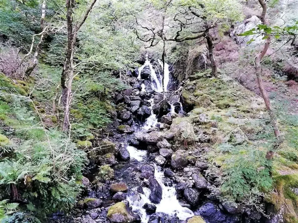 celtic rainforest waterfalls