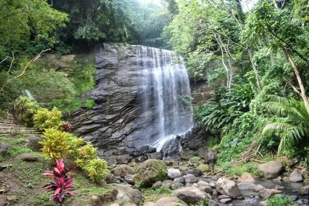royal mount carmel waterfalls