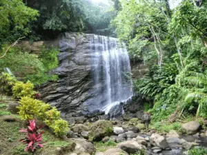 royal mount carmel waterfall