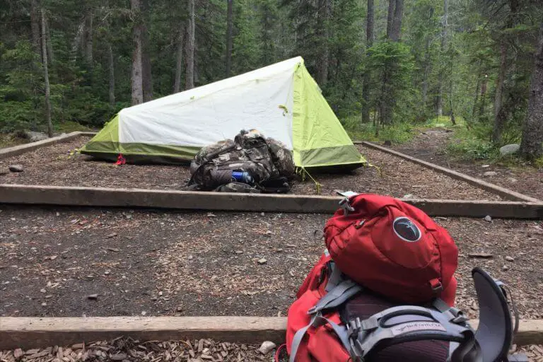 Hiking Berg Lake Trail in Mount Robson Provincial Park • Roaming Spices