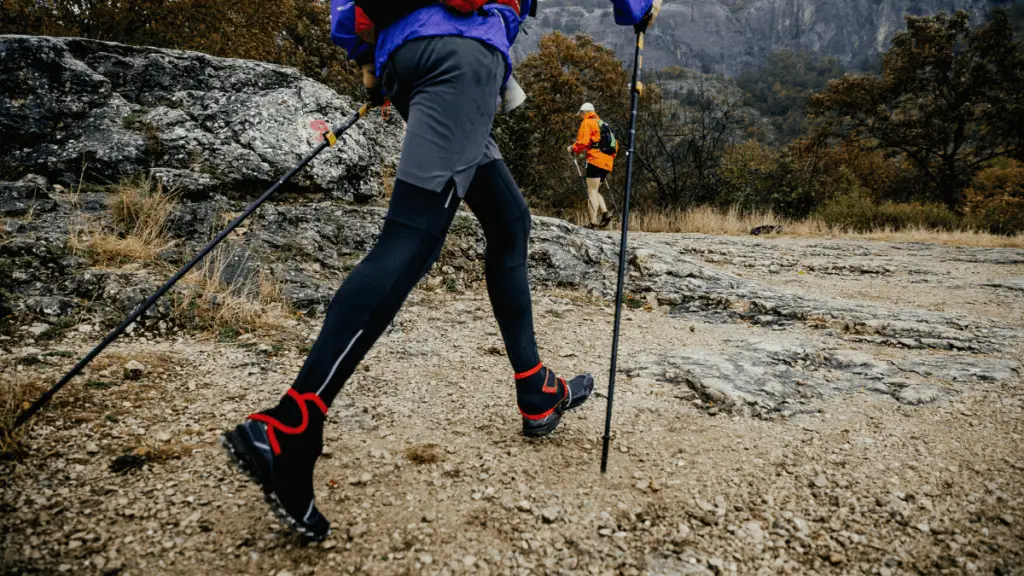 NORDIC WALKING/HIKING POLE WITH ON-OFF SHOCK ABSORBING
