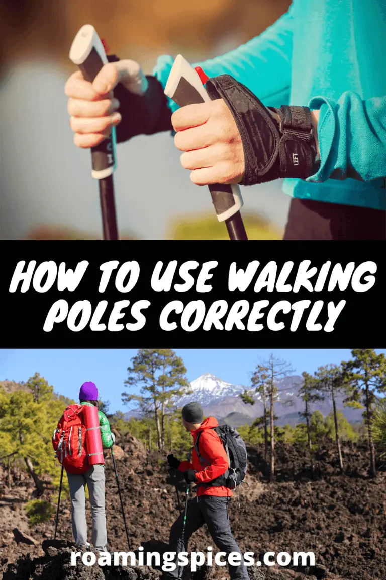 how-to-use-walking-poles-correctly-roaming-spices