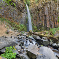 Dry Creek Falls Trail