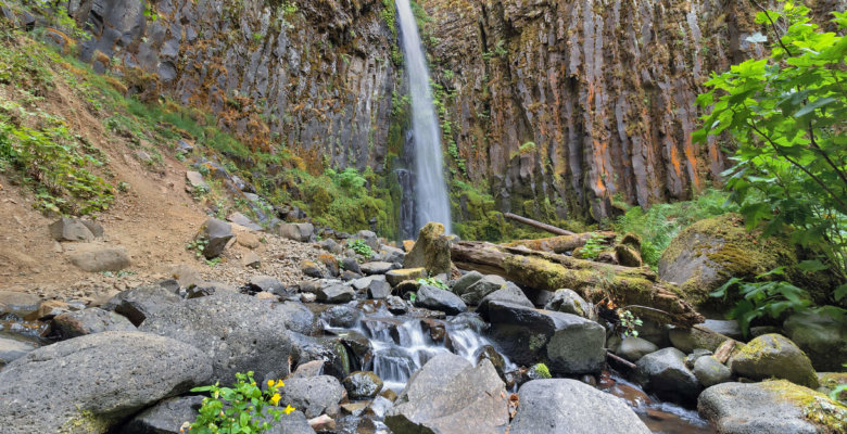 dry creek falls trail in Oregon