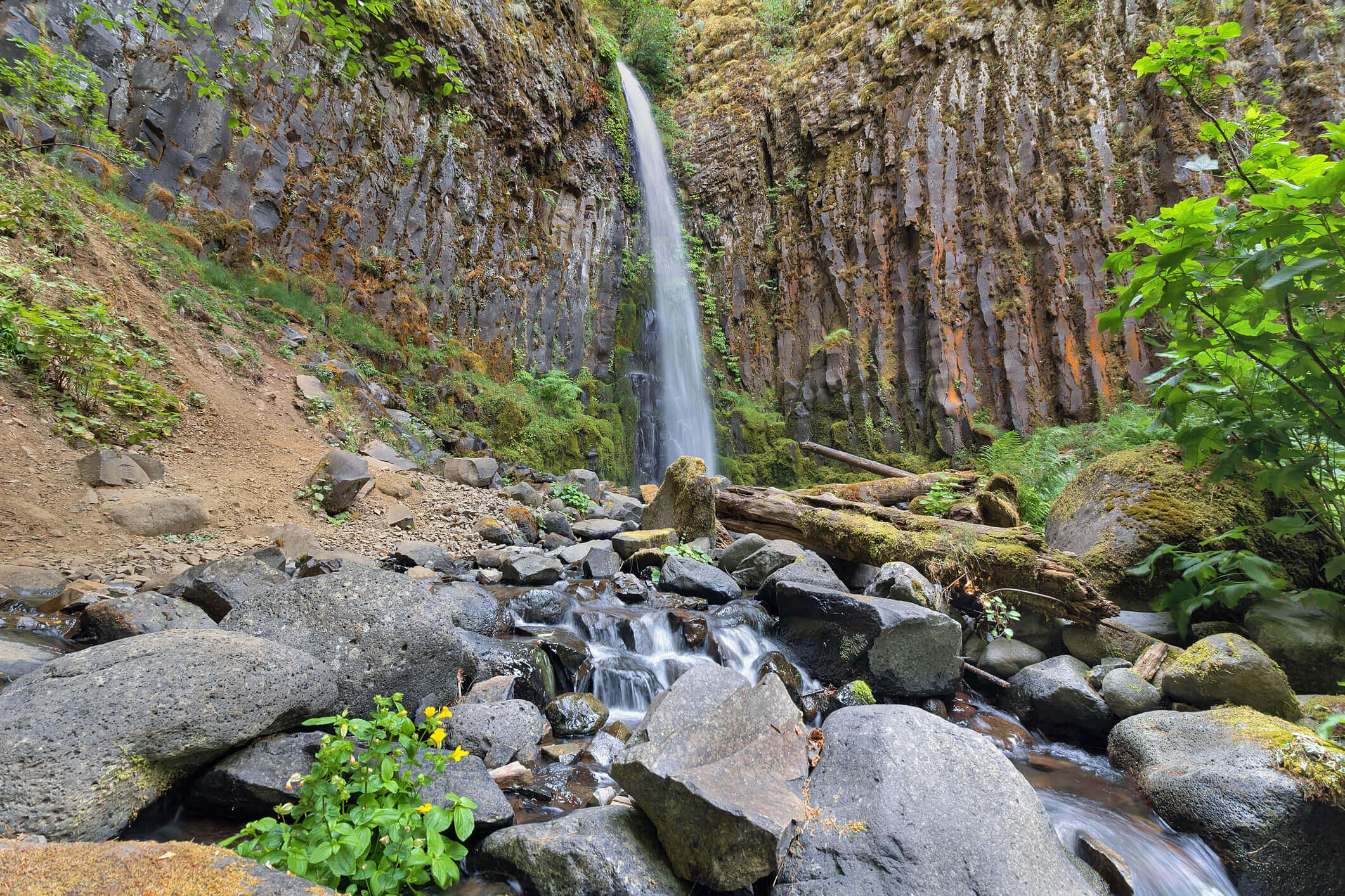 Take a Day Hike on the PCT - Columbia River Gorge