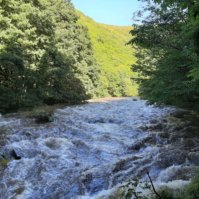 Watersmeet Walk from Lynmouth to Watersmeet House