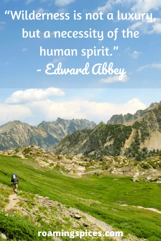 Edward Abbey quote