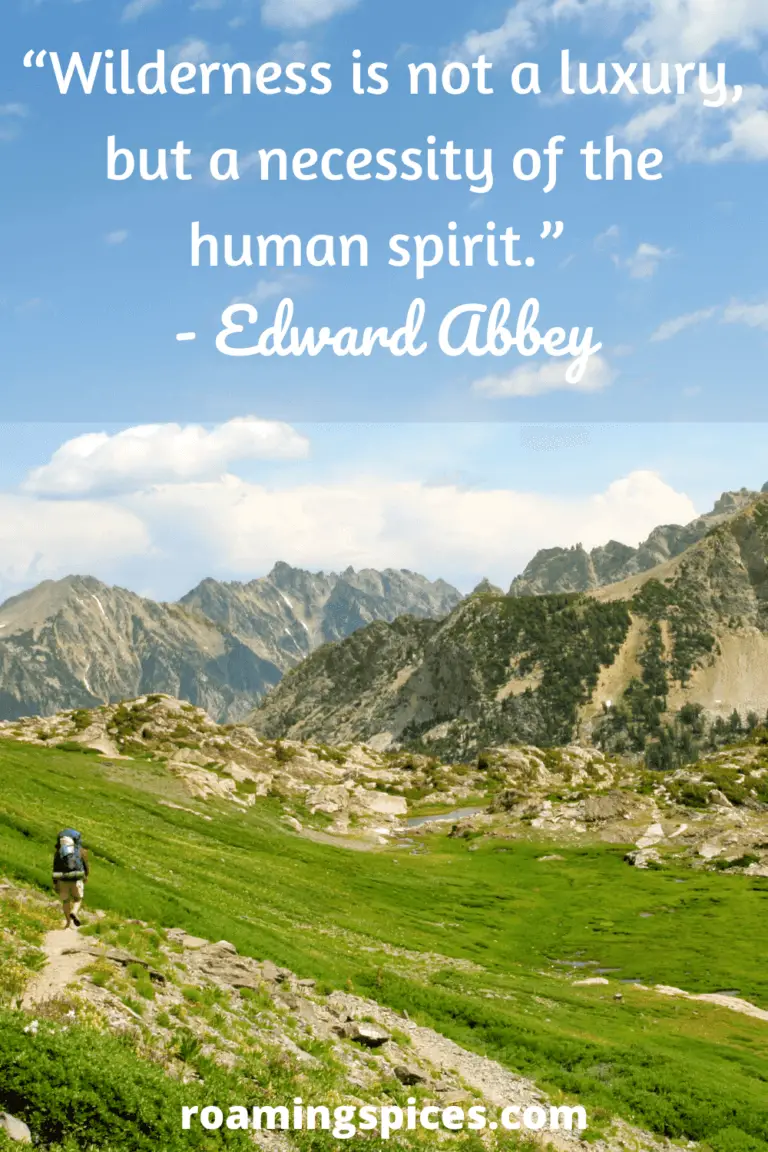 30 Inspirational Hiking Quotes to Help Get You Going • Roaming Spices