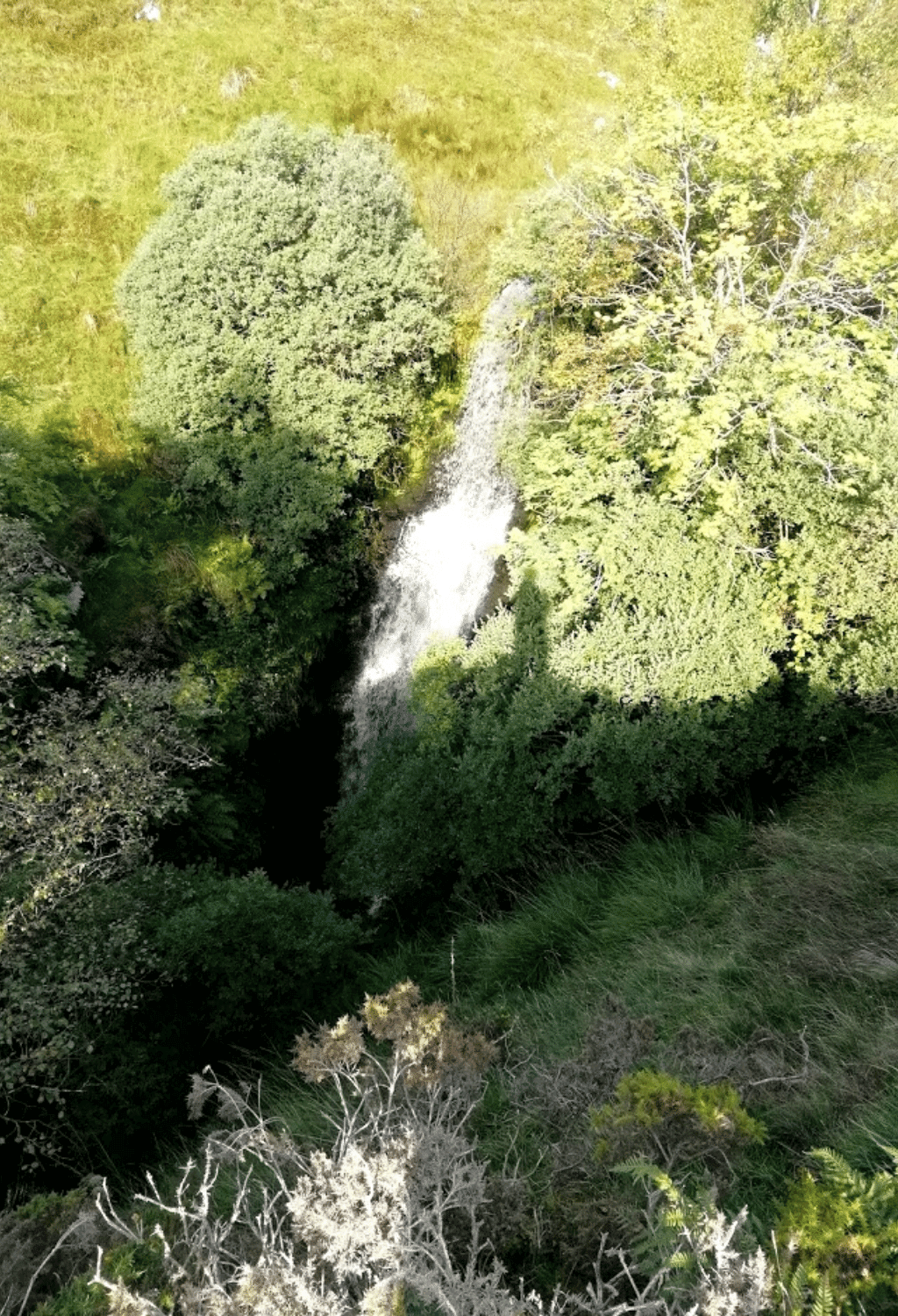 Nant Bwrefwr waterfall