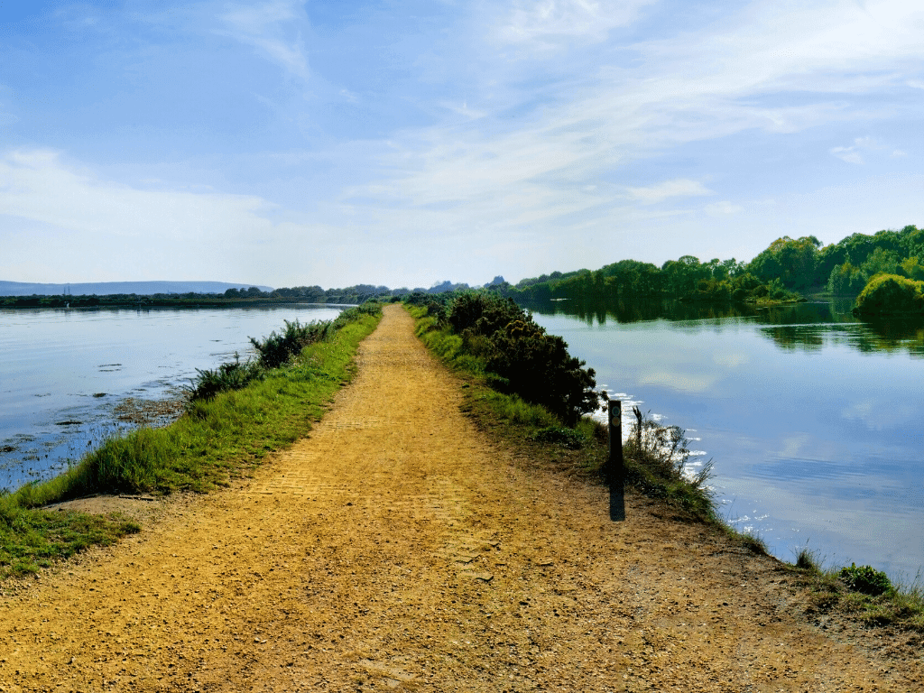 section of the solent way 