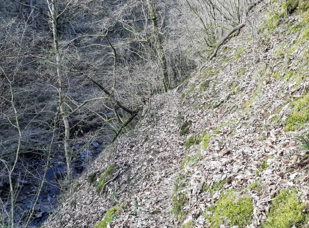 cliff side path on the banks of the Afon Pyrddin