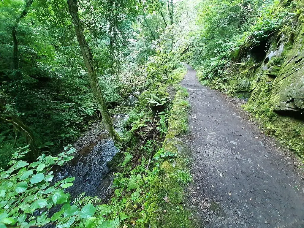 melincourt trail with melincourt brook to the left