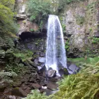 Short Melincourt Falls Walk to Imposing 24 Metre Cascade