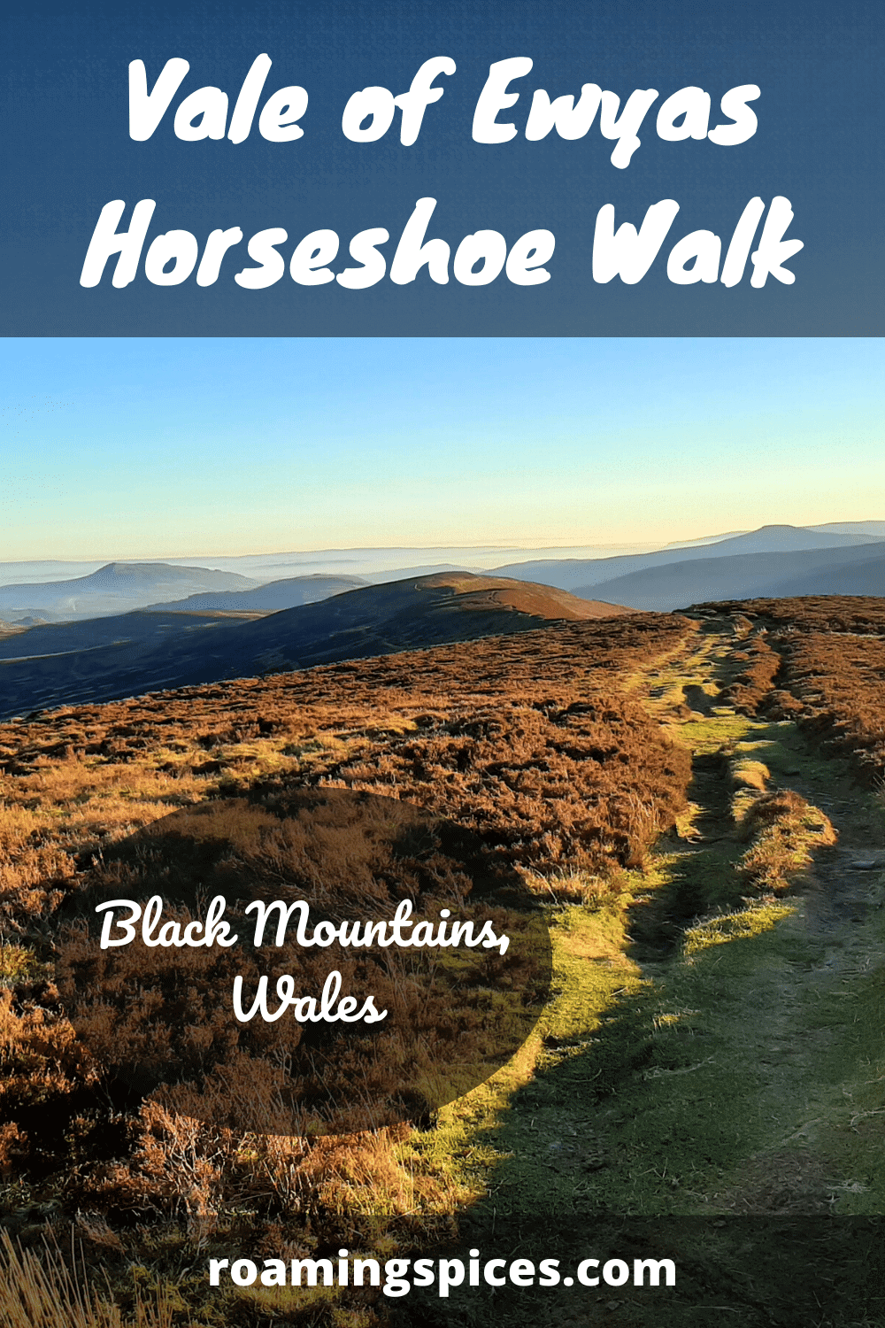 vale of ewyas horseshoe walk pin