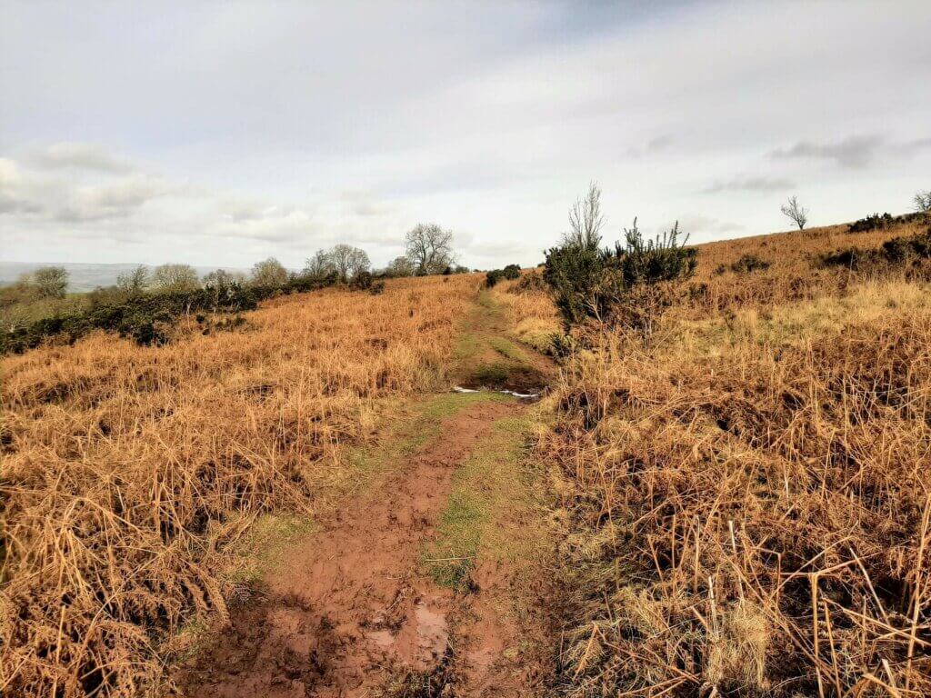 mynydd troed walk - trail around the northern base of the mountain