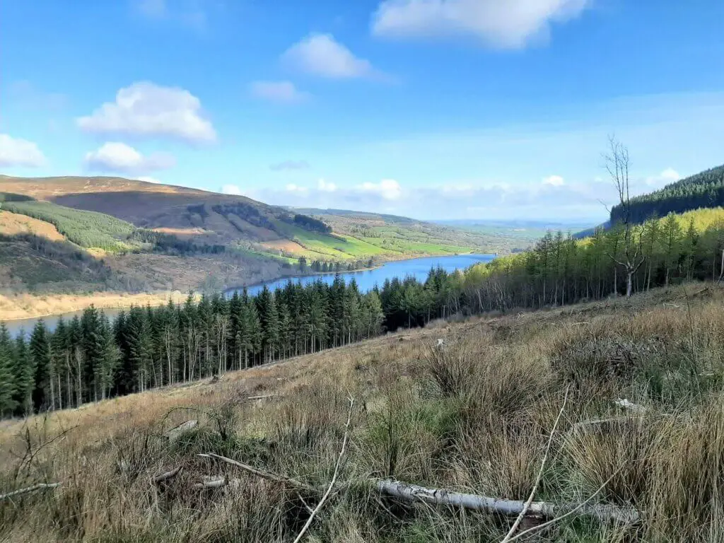 northerly view across talybont forest and talybont reservoir