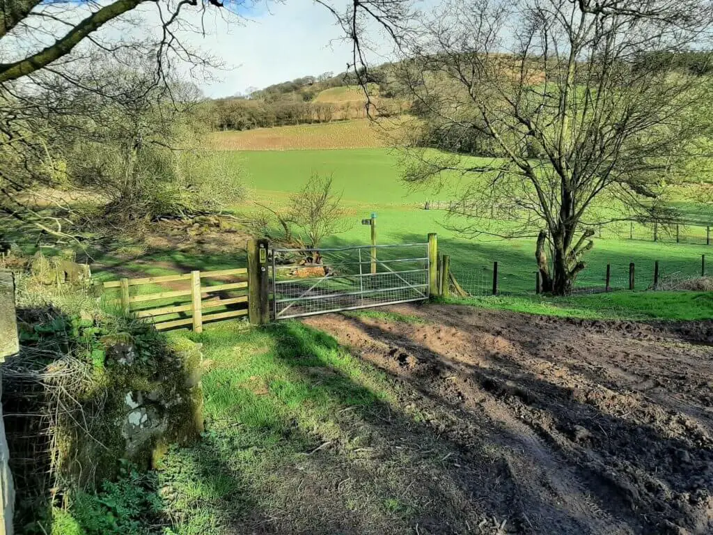 metal farm gate leading to green farmland