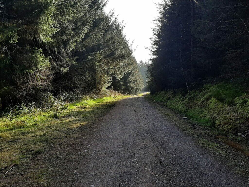 trail though the taf fechan forest