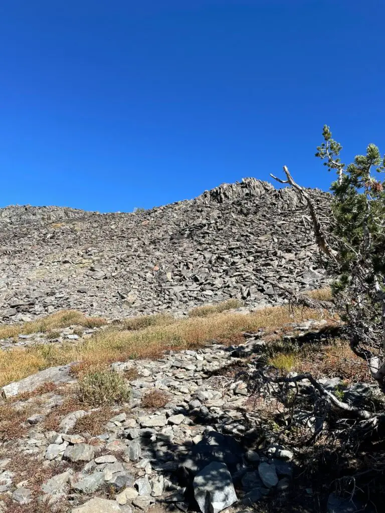 talus ridge during the mount tallac hike
