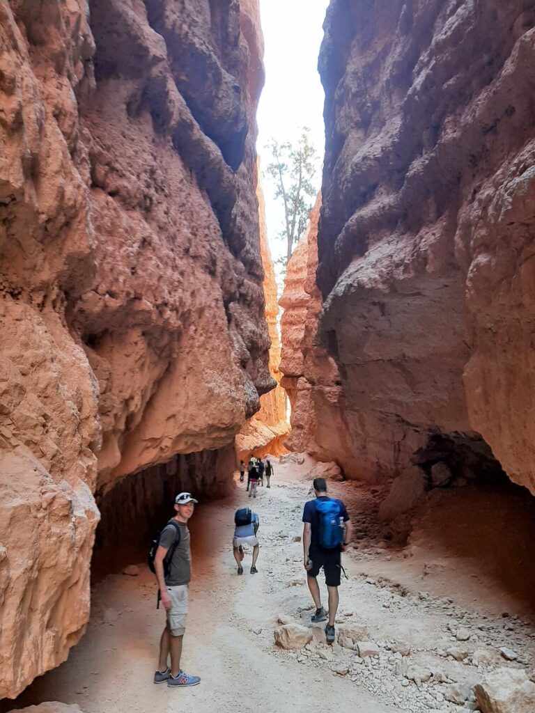 slot canyon in bryce canyon called wall street