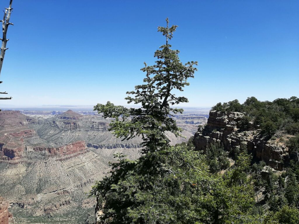 view of the eastern grand canyon from the cape final trail