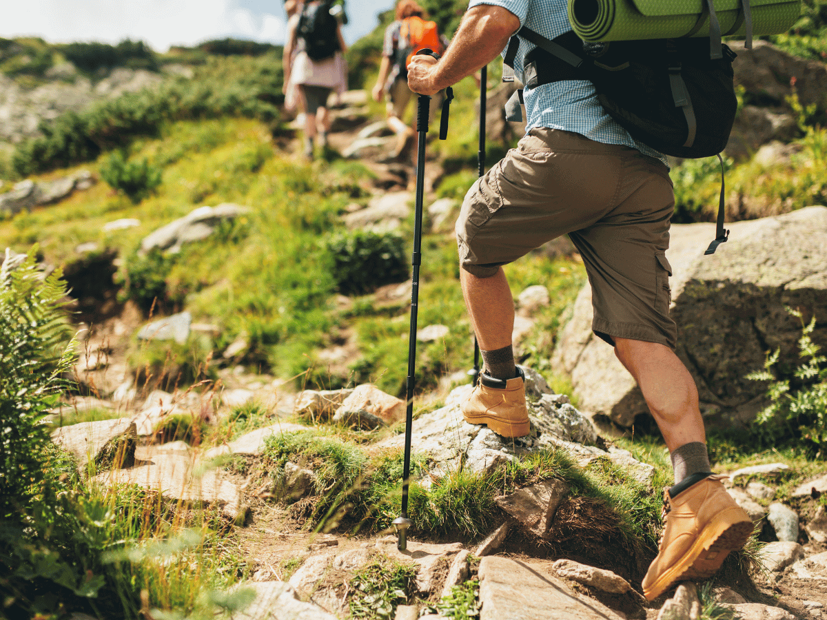 Does Hiking Build Muscle? Discover the Facts • Roaming Spices