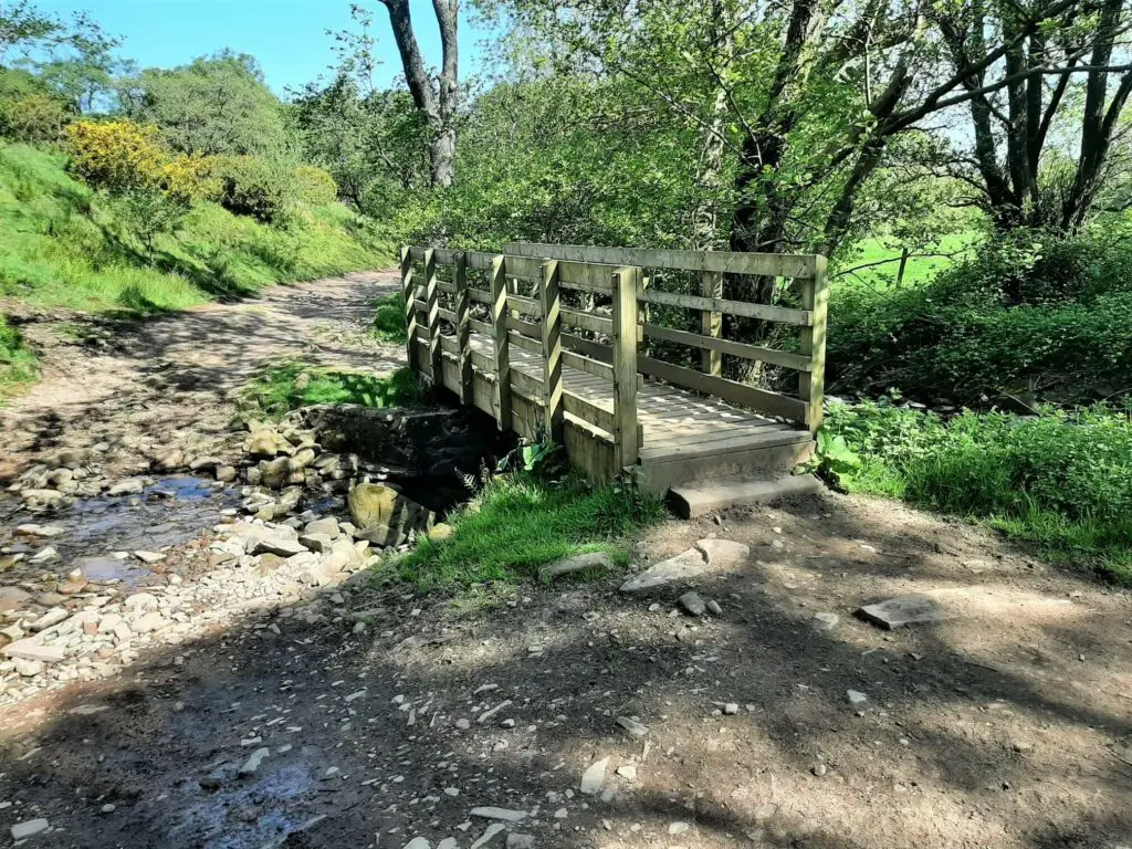 wooden footbridge over a stream