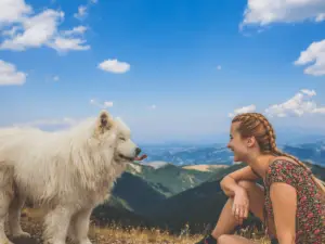 a selection of the best hiking dogs
