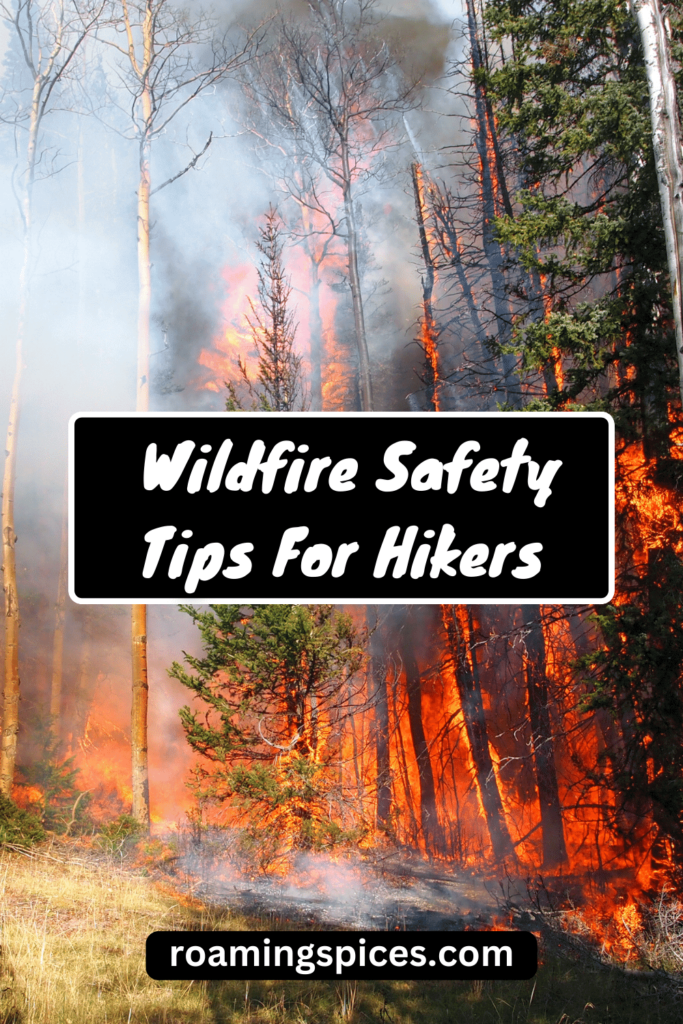 wildfire safety tips